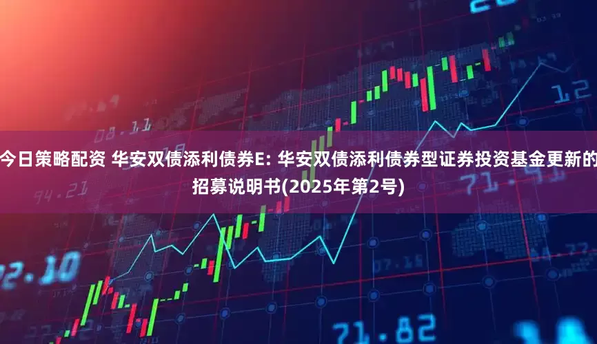 今日策略配资 华安双债添利债券E: 华安双债添利债券型证券投资基金更新的招募说明书(2025年第2号)