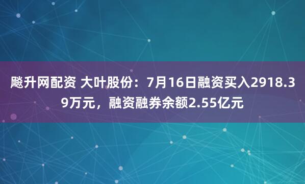 飚升网配资 大叶股份：7月16日融资买入2918.39万元，融资融券余额2.55亿元